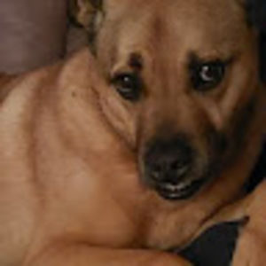 Meet your Posher, Robyn